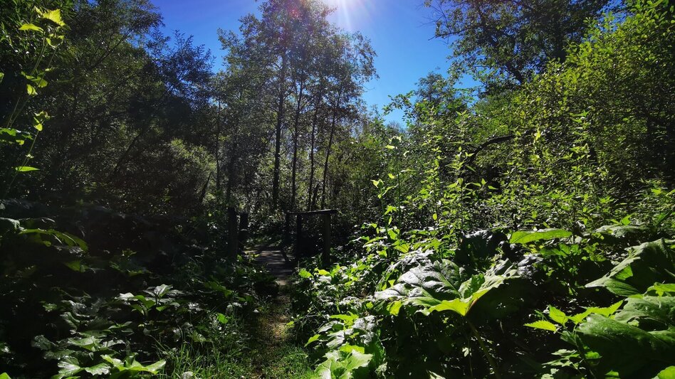 Hiking route Mariazell country round walk - Touren-Impression #2.12 | © TV Hochsteiermark