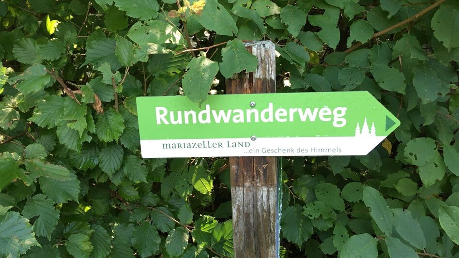 Hiking route Mariazell country round walk - Touren-Impression #2.13 | © TV Hochsteiermark