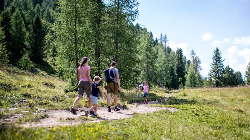 Wanderung Zirben Rundweg - Touren-Impression #2.3 | © Tourismusverband Murau