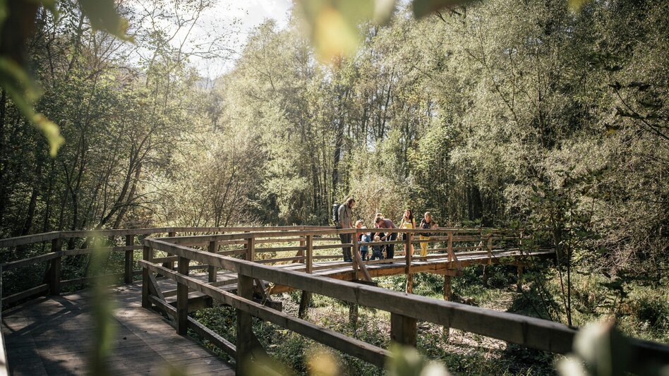 Promenade routes Lettmair-Au - Touren-Impression #2.4 | © TV Gesäuse