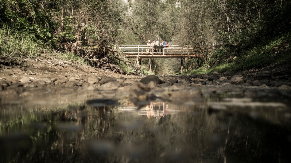 Promenade routes Lettmair-Au - Touren-Impression #2.5 | © TV Gesäuse