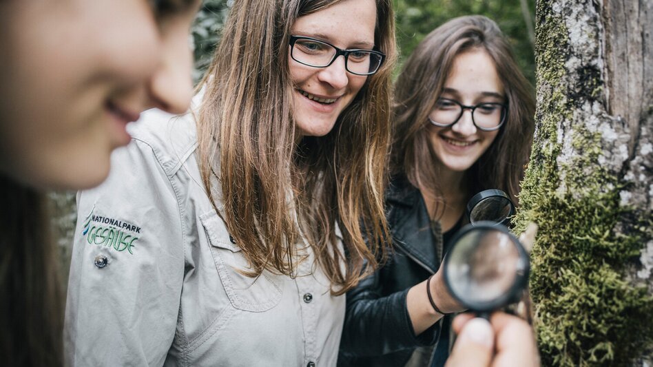 Promenade routes Lettmair-Au - Touren-Impression #2.8 | © TV Gesäuse