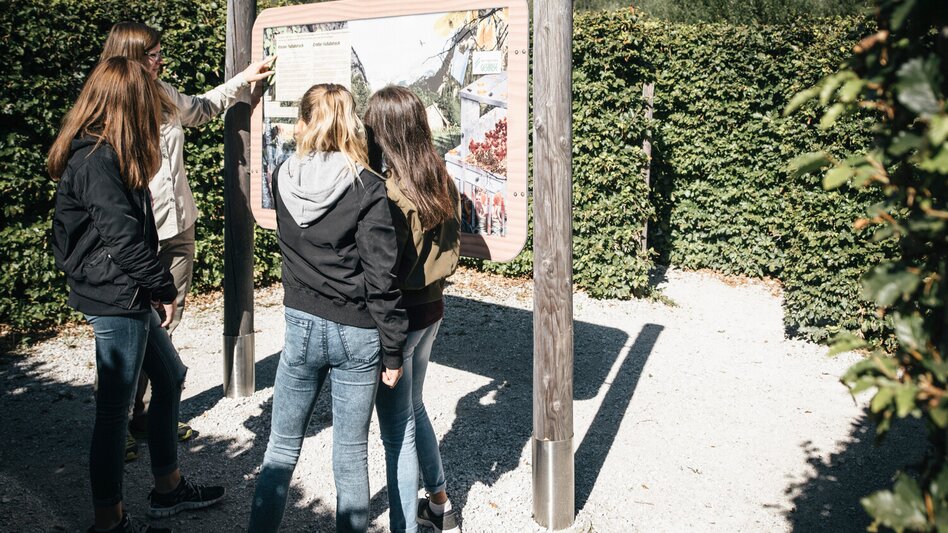 Promenade routes Lettmair-Au - Touren-Impression #2.9 | © TV Gesäuse