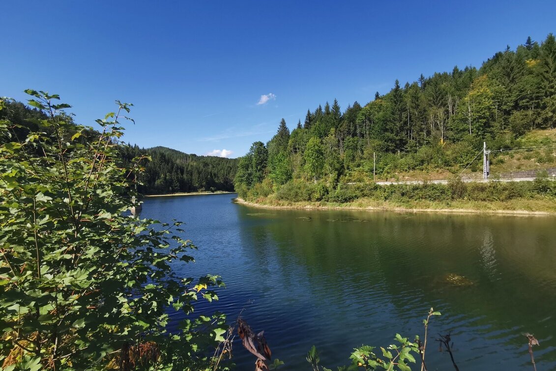 Hiking route Wienerbruck - Ötscherhias - Vorderötscher - Erlaufklause - Touren-Impression #1 | © TV Hochsteiermark