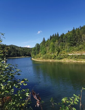 Stausee in Wienerbruck | Brigitte Digruber | © TV Hochsteiermark