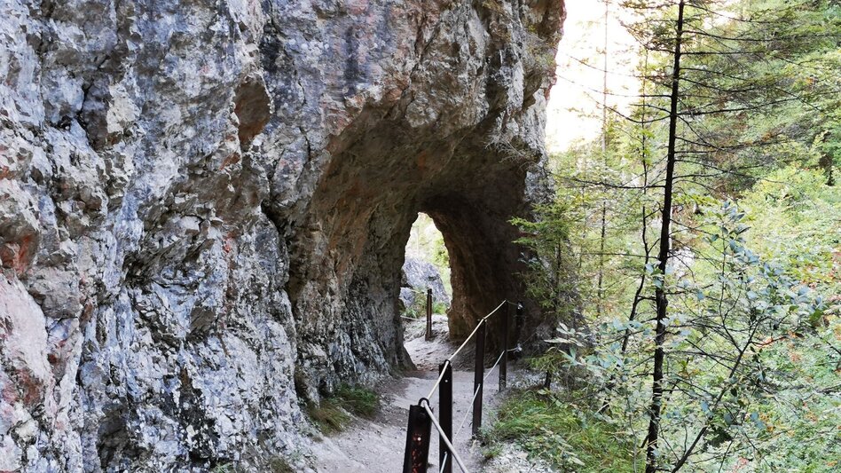 Hiking route Wienerbruck - Ötscherhias - Vorderötscher - Erlaufklause - Touren-Impression #2.2 | © TV Hochsteiermark