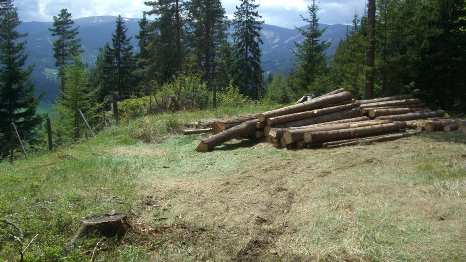 Wanderung Moserrundweg in Kloster bei Deutschlandsberg - Touren-Impression #2.3 | © TV Südsteiermark