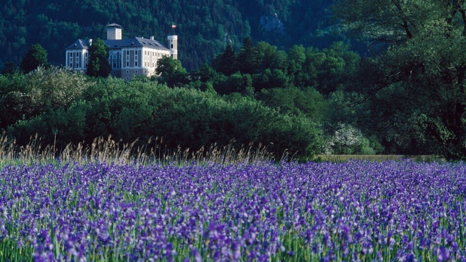 Bike Riding Etappe 03 Ennsradweg Irdning - Admont - Touren-Impression #2.1 | © Steiermark Tourismus/bigshot.at