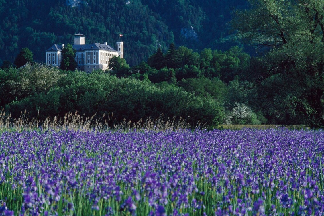 Bike Riding Etappe 03 Ennsradweg Irdning - Admont - Touren-Impression #1 | © Steiermark Tourismus/bigshot.at