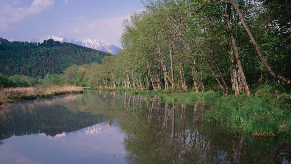 Bike Riding Etappe 03 Ennsradweg Irdning - Admont - Touren-Impression #2.2 | © (c) Steiermark Tourismus