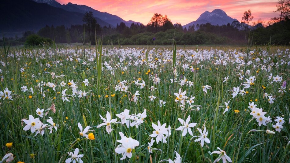 Bike Riding Etappe 03 Ennsradweg Irdning - Admont - Touren-Impression #2.4 | © Steiermark Tourismus/Martin Hartmann