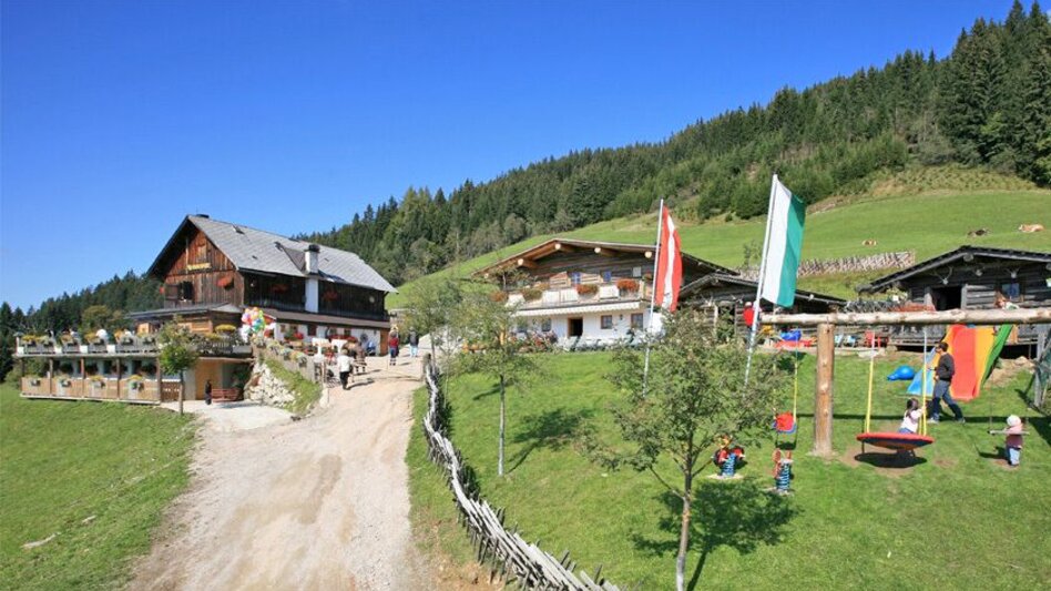 Wanderung Rittisberg Rundweg - Touren-Impression #2.6 | © Erlebnisregion Schladming-Dachstein