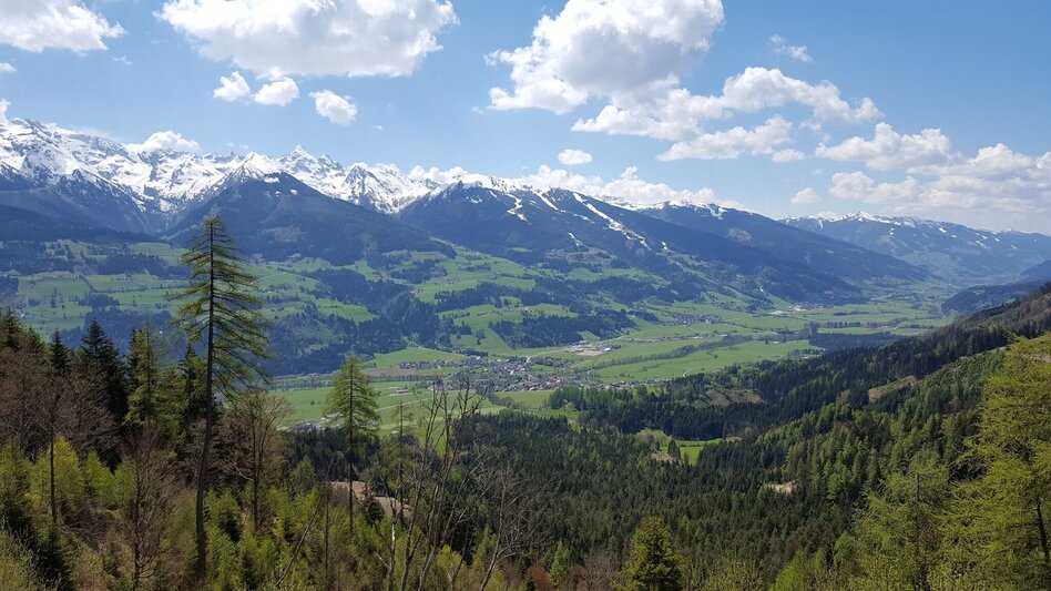 Bergtour Freienstein - Touren-Impression #2.3 | © Unbekannt