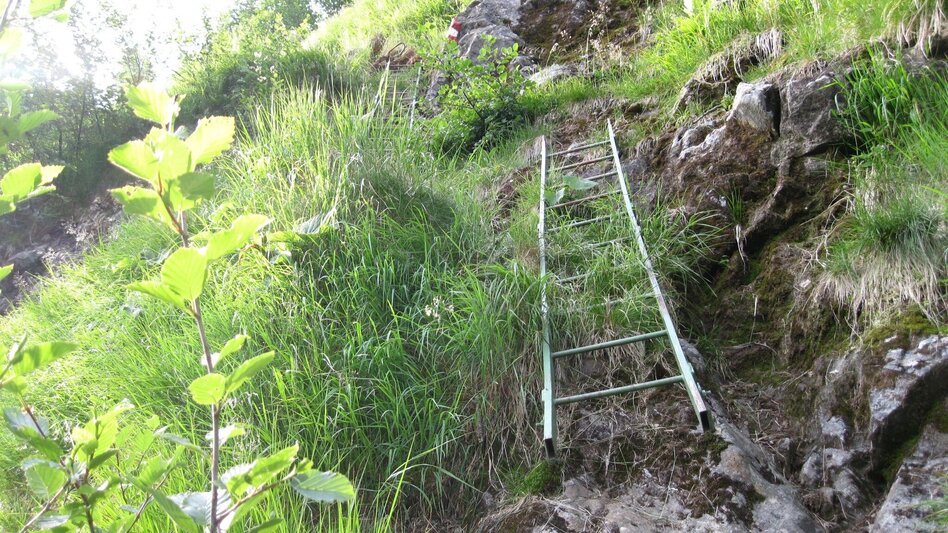 Regional hiking trail Hohensee - Schimpelscharte - Etrachsee - Touren-Impression #2.3 | © Fotograf Volkhard Maier 