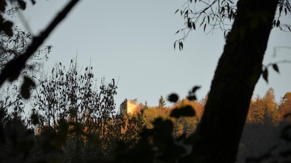 Wanderung Reicherhöhe - Waldstein - Touren-Impression #2.6 | © Markus Windisch