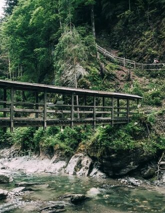 Die "klein Luzern" Brücke im Herzen der Klamm | Armin Walcher | © Erlebnisregion Schladming-Dachstein