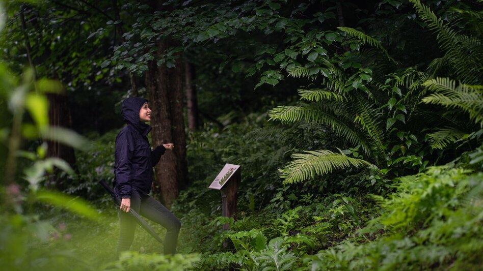 Wanderung Klammrundweg Donnersbach - Touren-Impression #2.4 | © Erlebnisregion Schladming-Dachstein