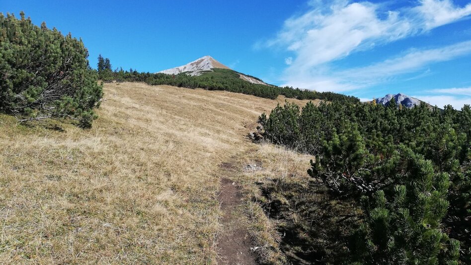 Mountain Hike Hochmölbing Peak - Touren-Impression #2.6 | © Erlebnisregion Schladming-Dachstein