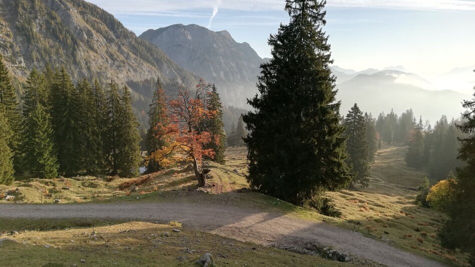 Mountain Hike Hochmölbing Peak - Touren-Impression #2.4 | © Erlebnisregion Schladming-Dachstein