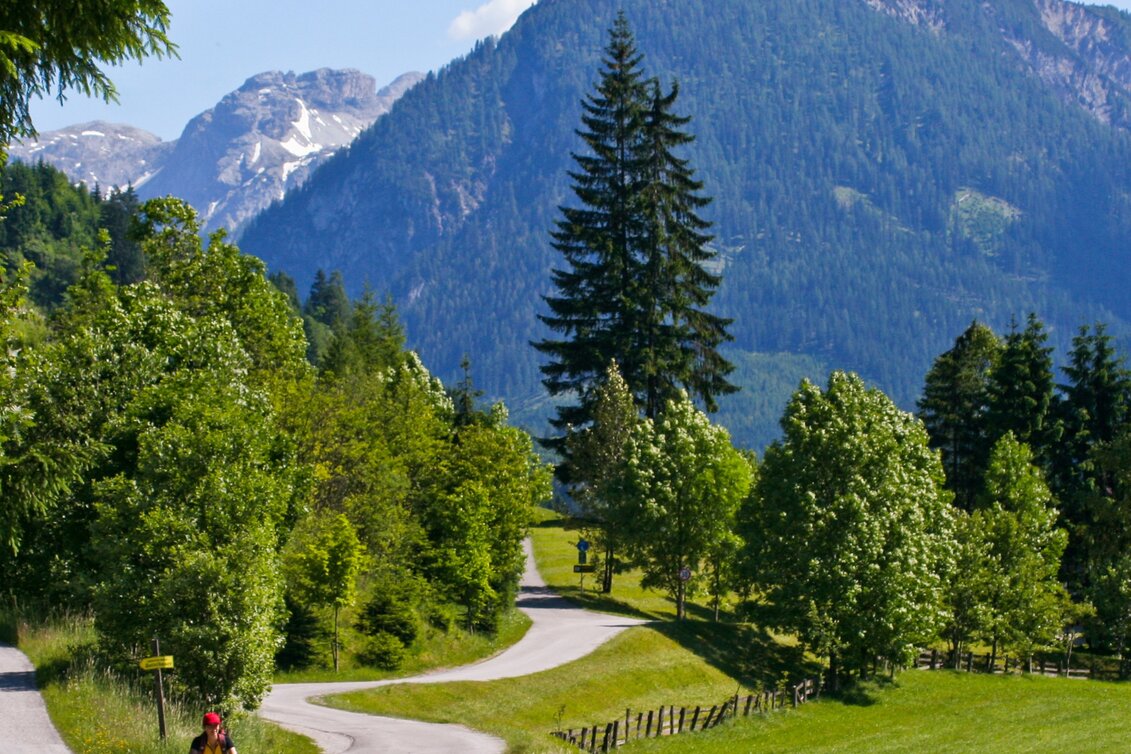 Bike Riding Stage 01 Enns Cycle Path Flachauwinkl - Schladming - Touren-Impression #1 | © Steiermark Tourismus/Gerhard Eisenschink