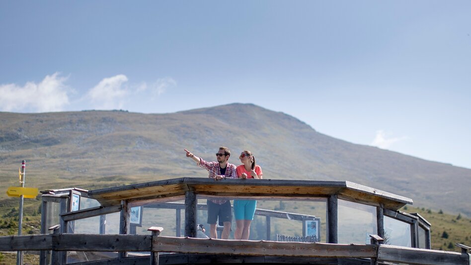 Hiking route Small Zirbitzkogel circuit - Touren-Impression #2.4 | © Tourismusverband Murau