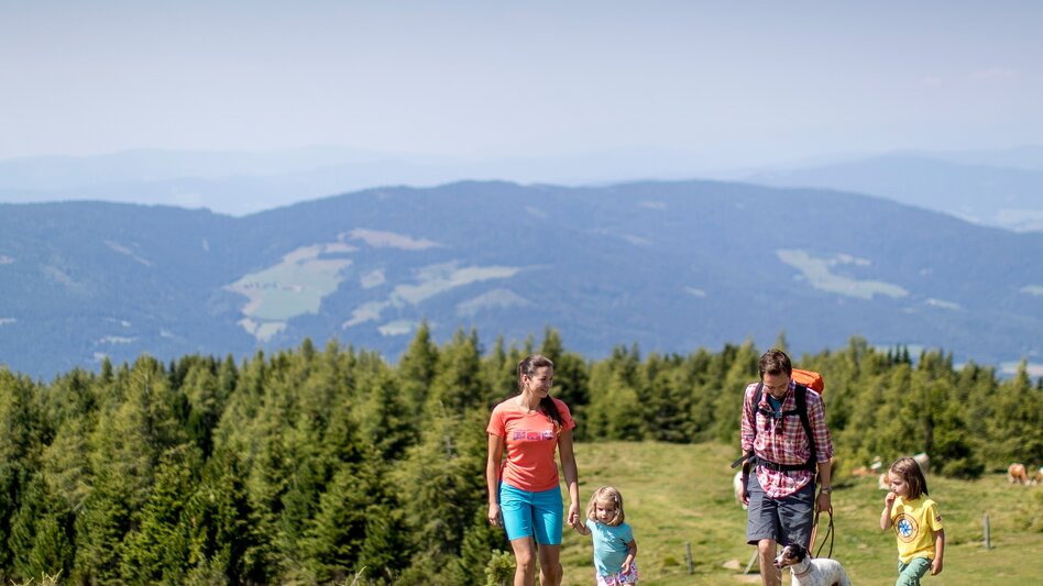 Hiking route Small Zirbitzkogel circuit - Touren-Impression #2.6 | © Tourismusverband Murau