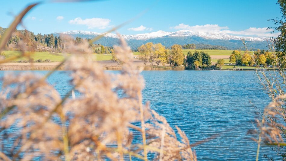 Hiking route Furtner Teich circular hiking trail - Touren-Impression #2.2 | © Tourismusverband Murau