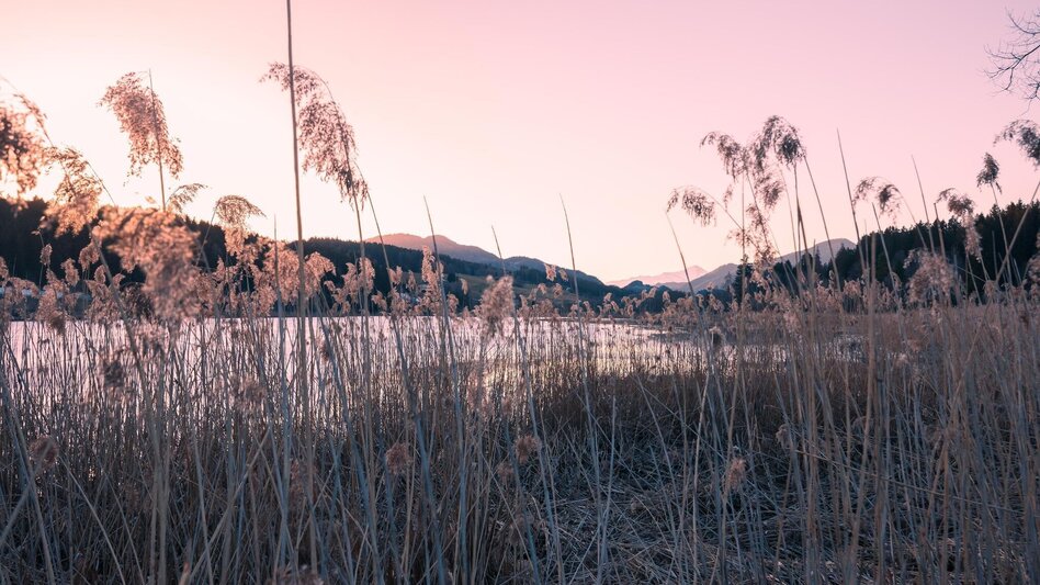 Hiking route Furtner Teich circular hiking trail - Touren-Impression #2.3 | © Tourismusverband Murau