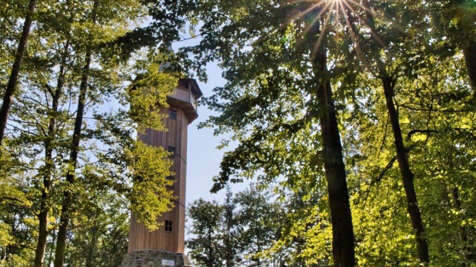 Hiking route Stainzer Panorama Trail - Touren-Impression #2.1 | © TVB Südsteiermark/Weges OG