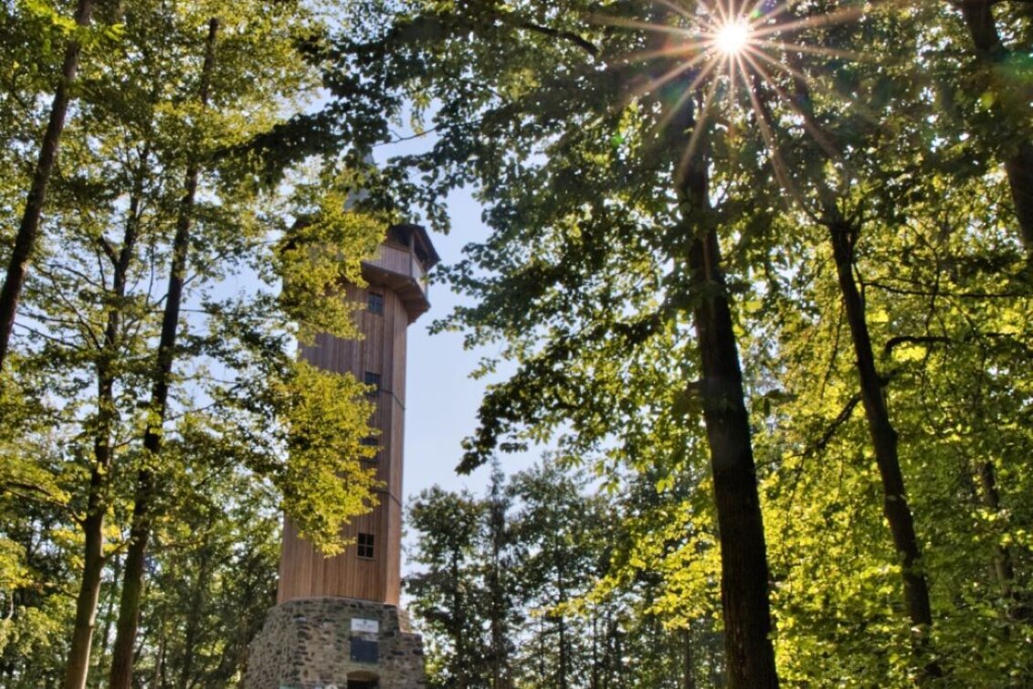 Hiking route Stainzer Panorama Trail - Touren-Impression #1 | © TVB Südsteiermark/Weges OG