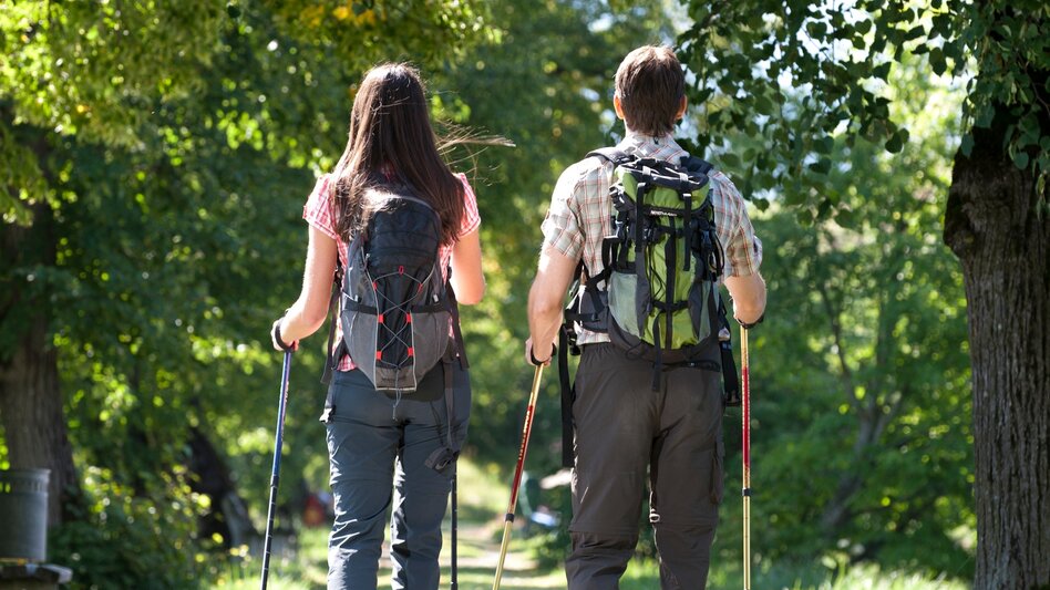 Pilgrim Walk Hemma Pilgrimage Route Admont - Touren-Impression #2.5 | © Steiermark Tourismus/Harry Schiffer