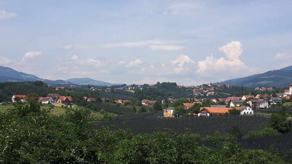 Radfahren Käferbohnentour mit Panoramasicht - Touren-Impression #2.8 | © (c) Steininger