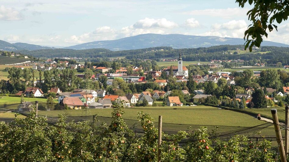 Radfahren Käferbohnentour mit Panoramasicht - Touren-Impression #2.1 | © Oststeiermark Tourismus