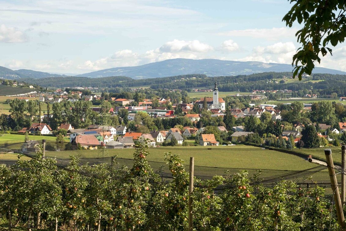 Radfahren Käferbohnentour mit Panoramasicht - Touren-Impression #1 | © Oststeiermark Tourismus