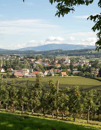 Panoramasicht, Oststeiermark | Simon Sackl | © Oststeiermark Tourismus