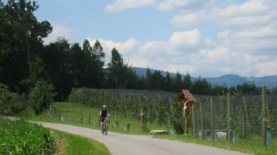 Radfahren Käferbohnentour mit Panoramasicht - Touren-Impression #2.2 | © Oststeiermark Tourismus