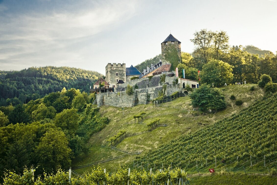 Wanderung Weinlehrpfad Weg WL - Touren-Impression #1 | © TVB/Südsteiermark/Lupi Spuma