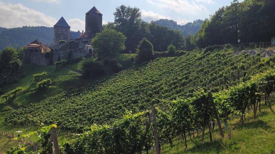 Wanderung Weinlehrpfad Weg WL - Touren-Impression #2.4 | © Community