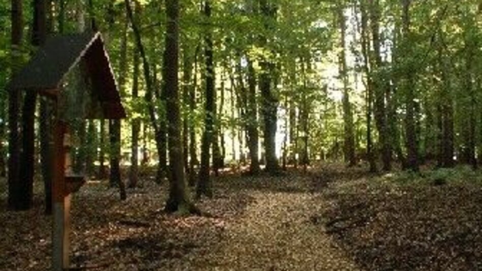 Theme path In the footsteps of pilgrims in the Raab Valley - the Unterfladnitz Way of the Cross - Touren-Impression #2.7 | © Oststeiermark Tourismus