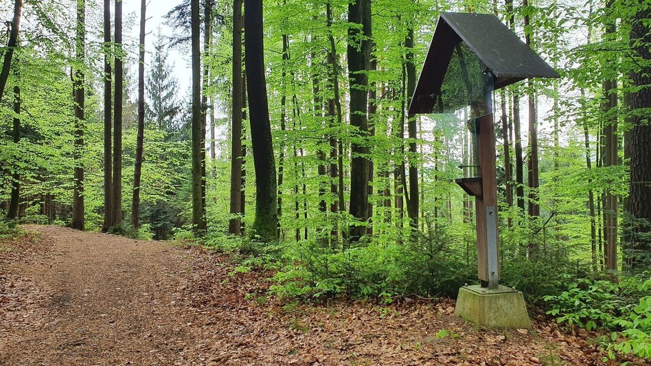 Theme path In the footsteps of pilgrims in the Raab Valley - the Unterfladnitz Way of the Cross - Touren-Impression #2.10 | © (c) Günther Steininger