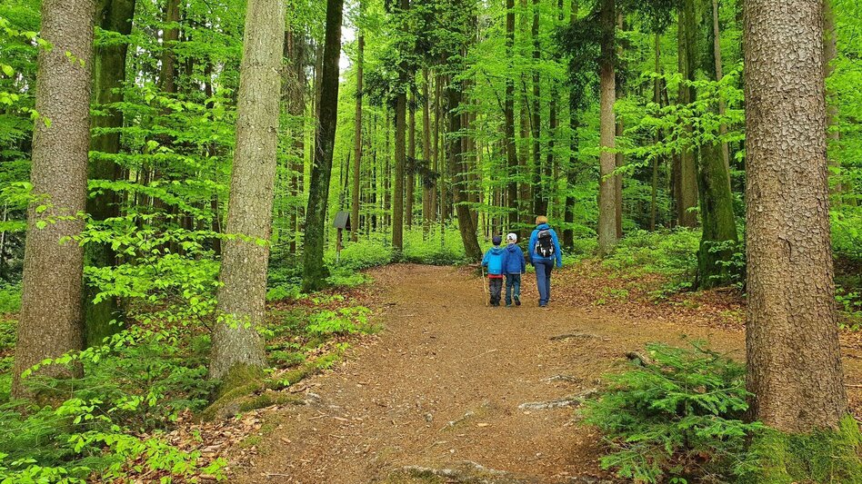 Theme path In the footsteps of pilgrims in the Raab Valley - the Unterfladnitz Way of the Cross - Touren-Impression #2.11 | © (c) Günther Steininger