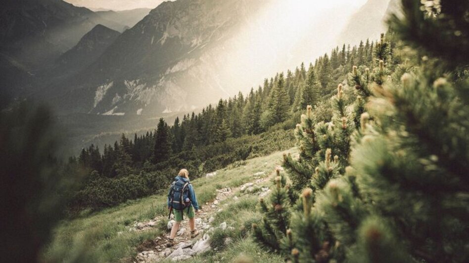 Mountain Hike Via the Tamischbach to the Ennstalerhütte and the Tamischbachturm - Touren-Impression #2.1 | © TV Gesäuse
