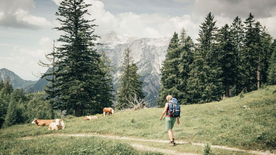 Mountain Hike Via the Tamischbach to the Ennstalerhütte and the Tamischbachturm - Touren-Impression #2.8 | © TV Gesäuse