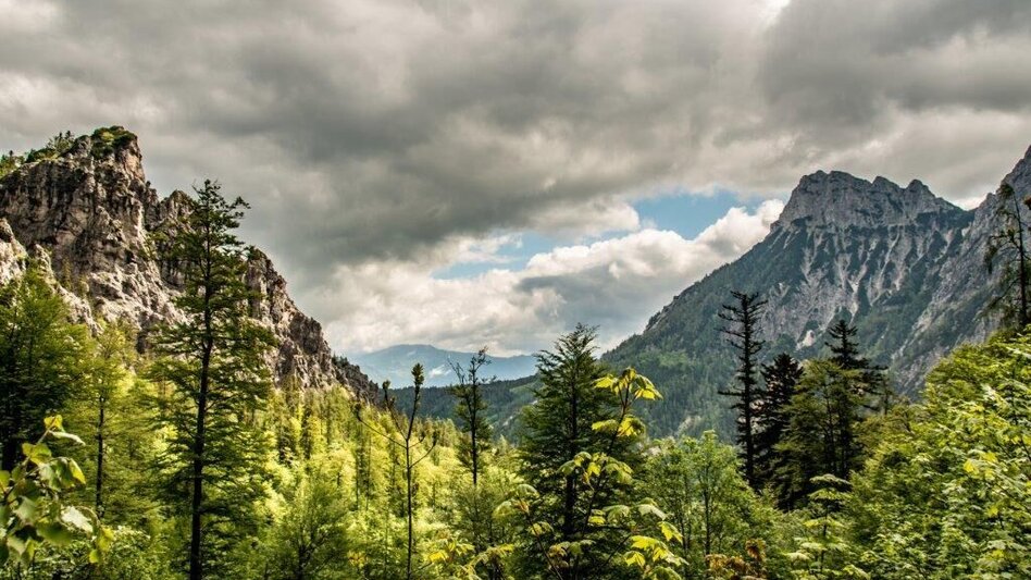 Mountain Hike Via the Tamischbach to the Ennstalerhütte and the Tamischbachturm - Touren-Impression #2.9 | © TV Gesäuse
