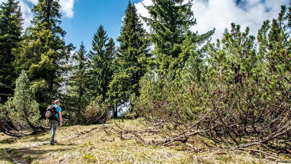 Mountain Hike Via the Tamischbach to the Ennstalerhütte and the Tamischbachturm - Touren-Impression #2.11 | © TV Gesäuse