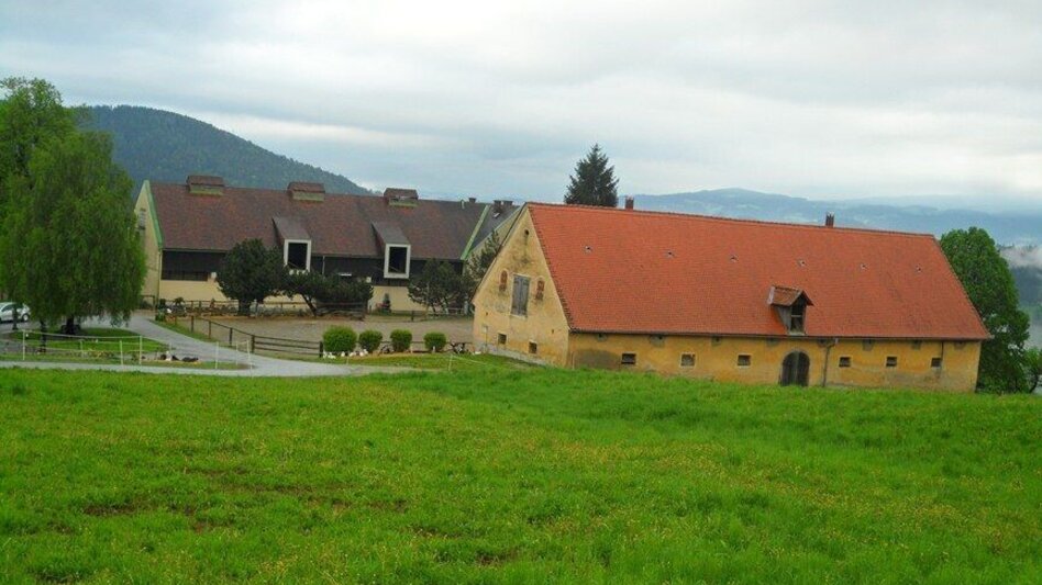 Wanderung Durch einen  schönen Hochwald (4) - Touren-Impression #2.2 | © Tourismusbüro Lipizzanerheimat