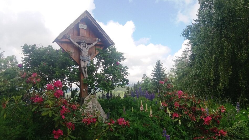 Wanderung Durch einen  schönen Hochwald (4) - Touren-Impression #2.4 | © Region Graz