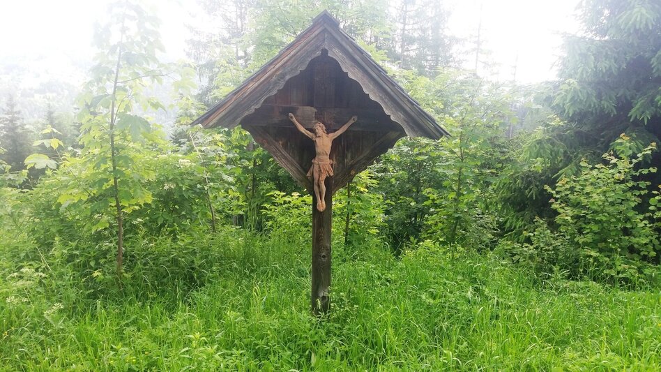 Wanderung Durch einen  schönen Hochwald (4) - Touren-Impression #2.5 | © Region Graz