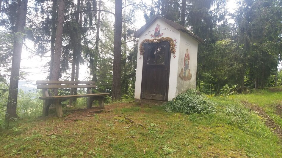 Wanderung Durch einen  schönen Hochwald (4) - Touren-Impression #2.10 | © Region Graz