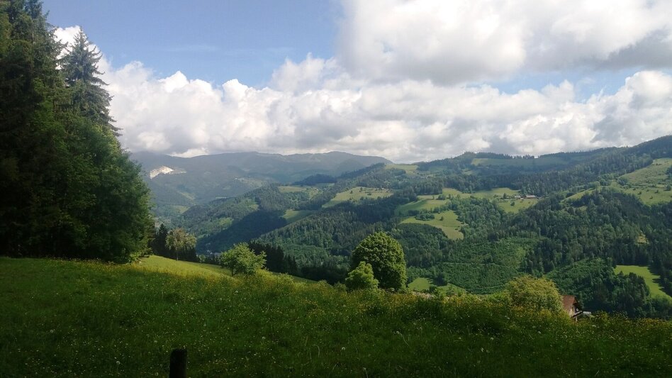 Wanderung Durch einen  schönen Hochwald (4) - Touren-Impression #2.11 | © Region Graz
